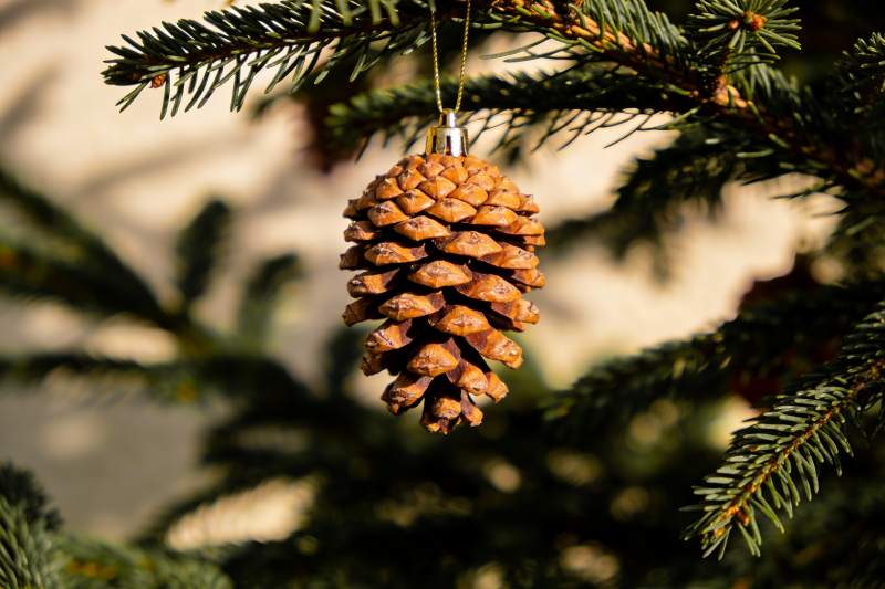 松果挂饰点缀圣诞树枝图片