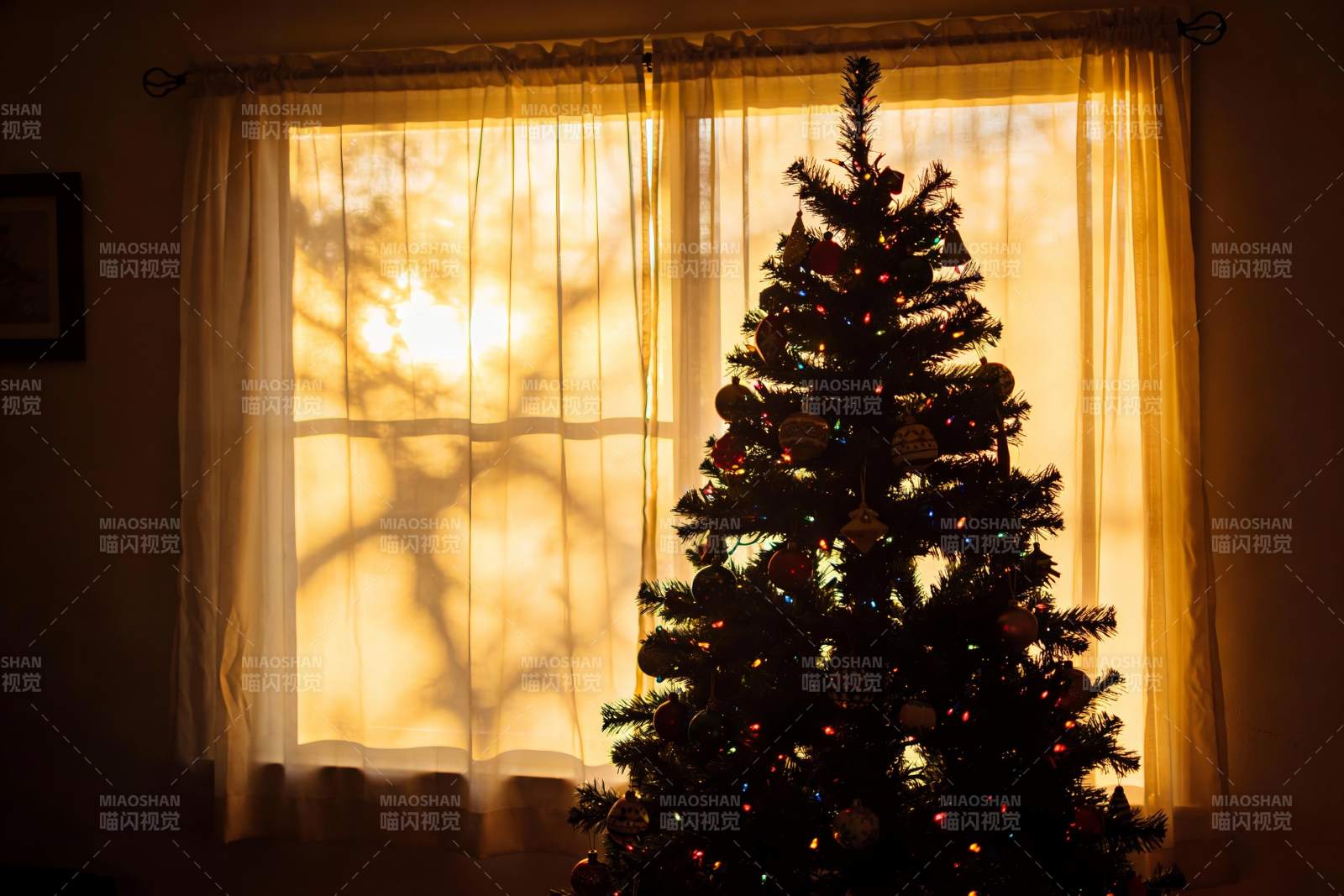 圣诞树窗前光影图片