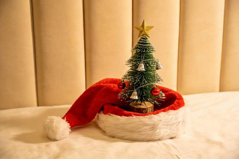 圣诞帽与小圣诞树温馨场景图片