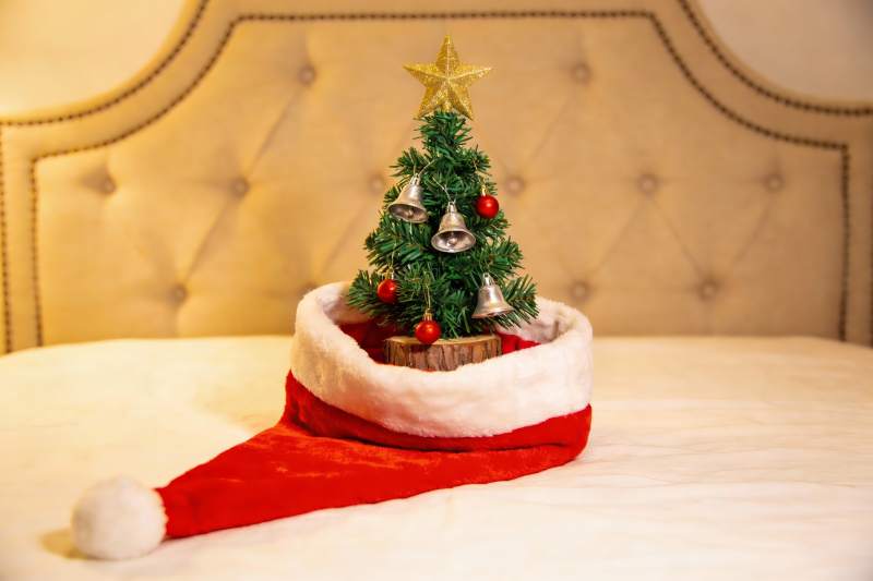 圣诞树装饰圣诞帽图片