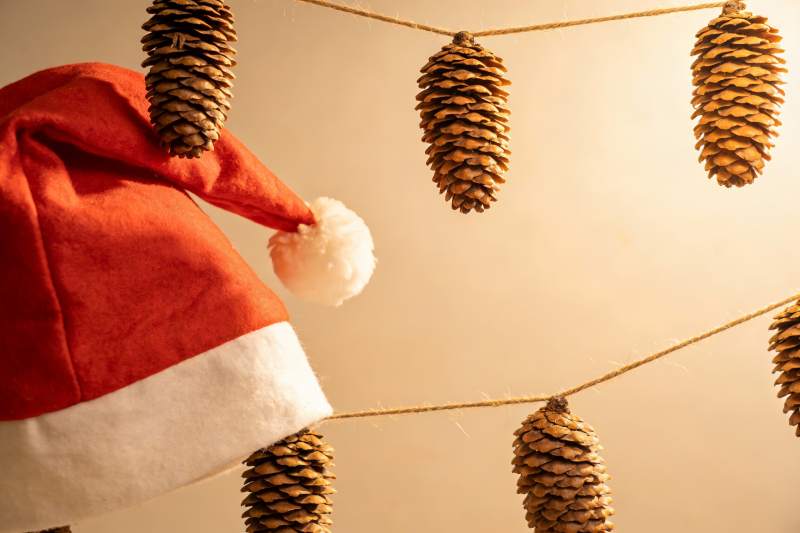 圣诞帽与松果装饰挂饰图片