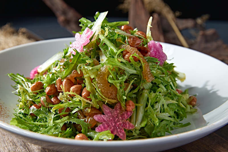 苦菊果仁心里美萝卜拌海蜇图片