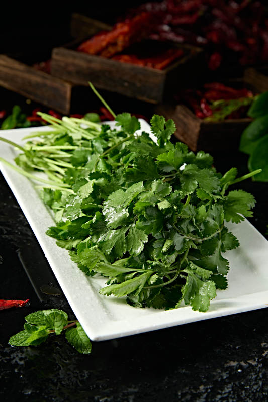 新鲜的火锅食材新鲜香菜图片