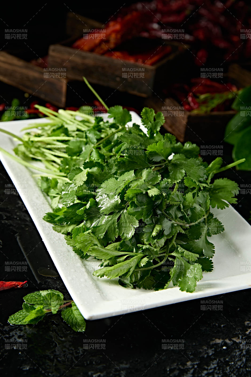 新鲜的火锅食材新鲜香菜图片