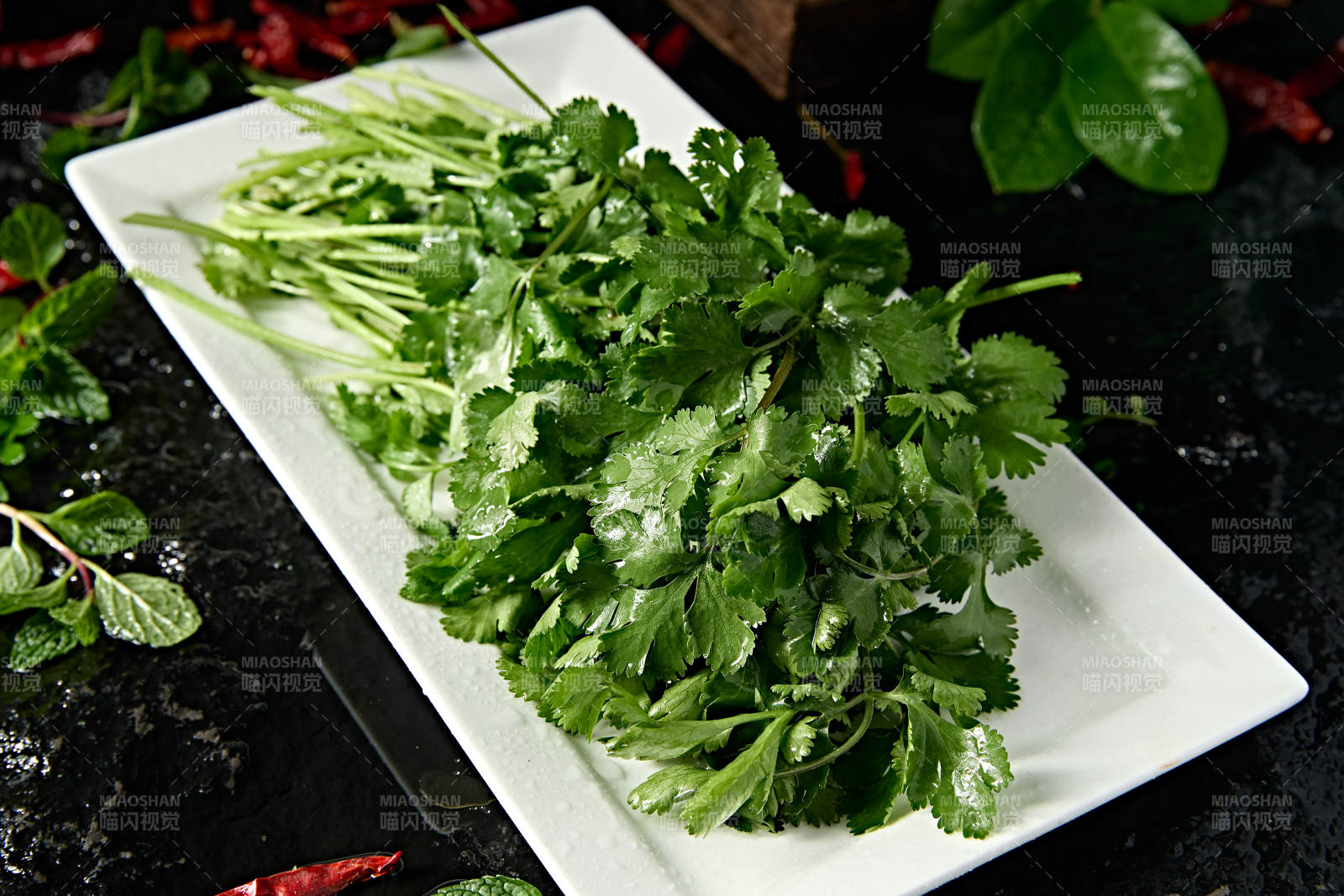 新鲜的火锅食材新鲜香菜图片