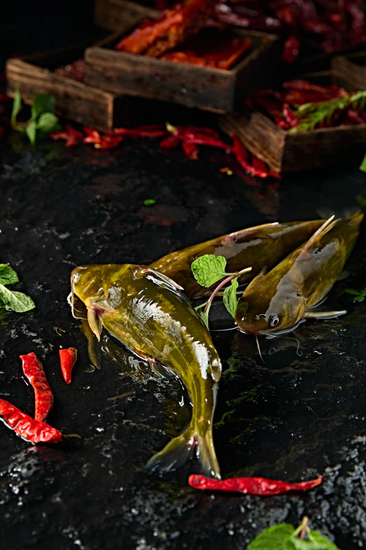 淡水河鲜黄辣丁鱼图片