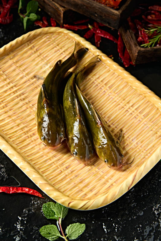 淡水河鲜黄辣丁鱼图片