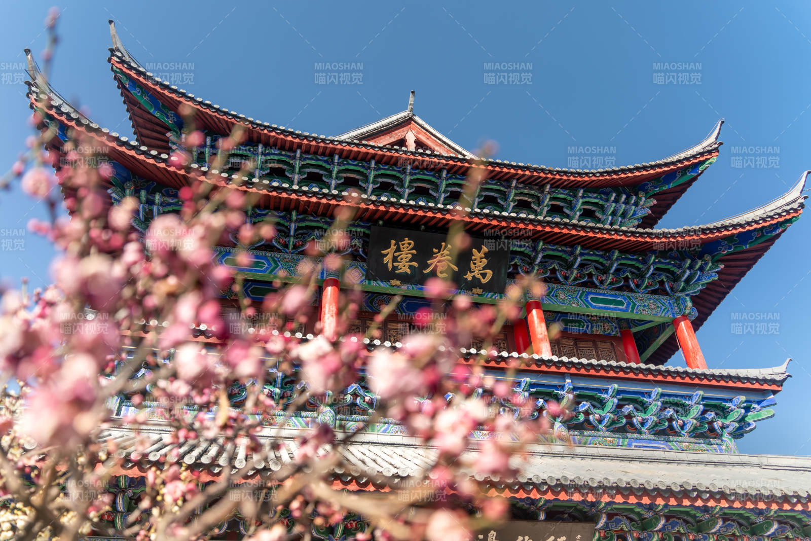 云南丽江木府万卷楼与春日春日古楼梅花绽放图片