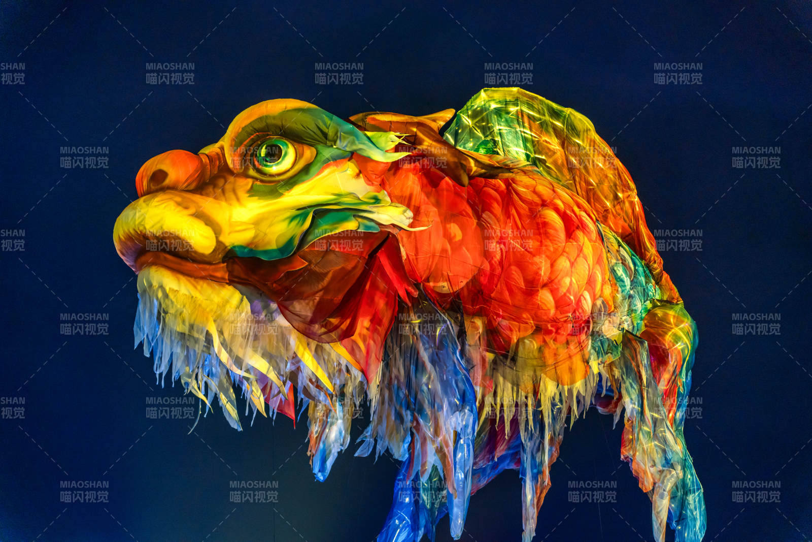 全运会开幕式飞天整鱼龙头彩灯彩龙舞动图片