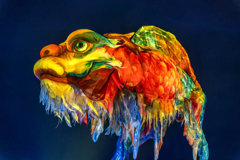 全运会开幕式飞天整鱼龙头彩灯彩龙舞动图片