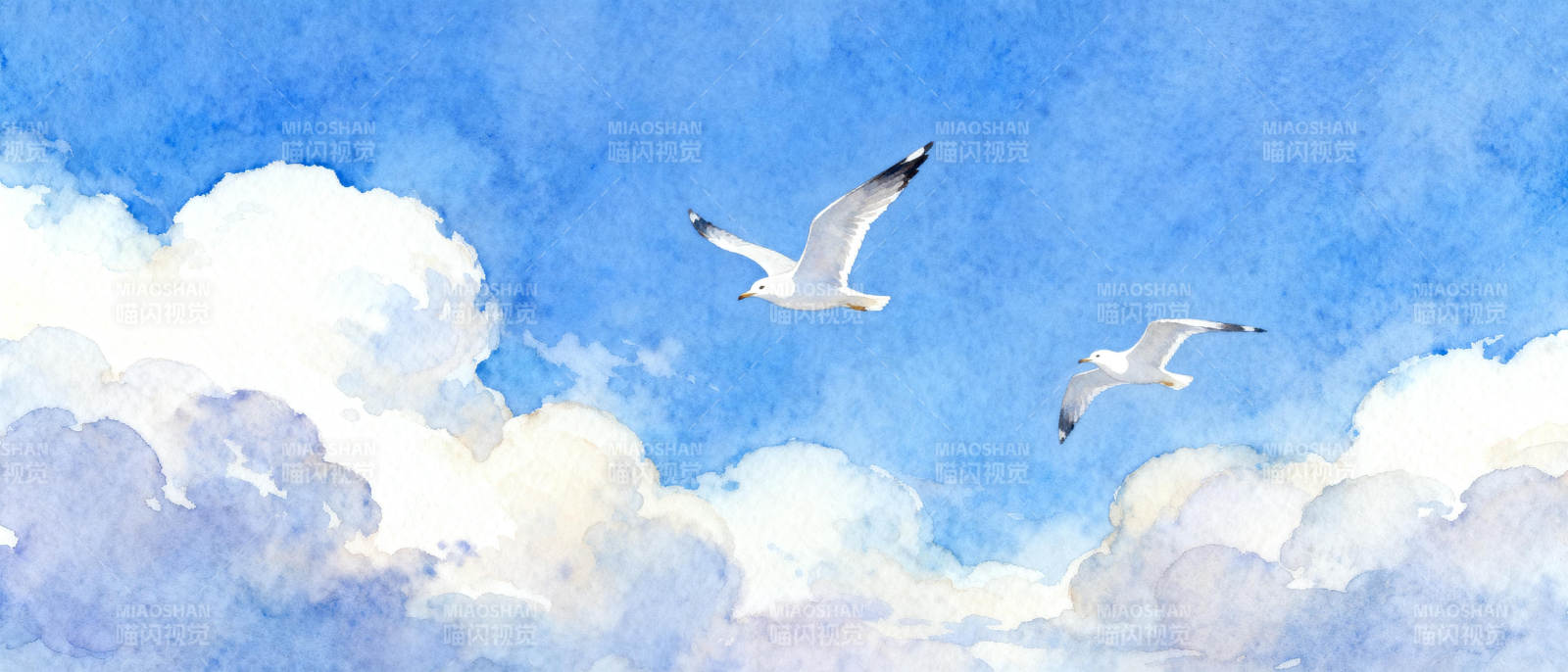 蓝天白云海鸥飞翔图片