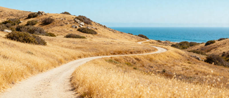 海岸荒野小径图片