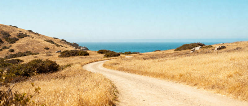 荒野小径通向大海图片