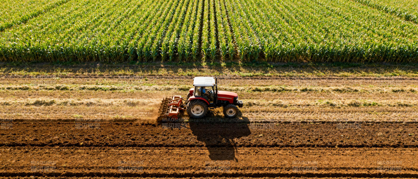 田间耕作的红色拖拉机图片