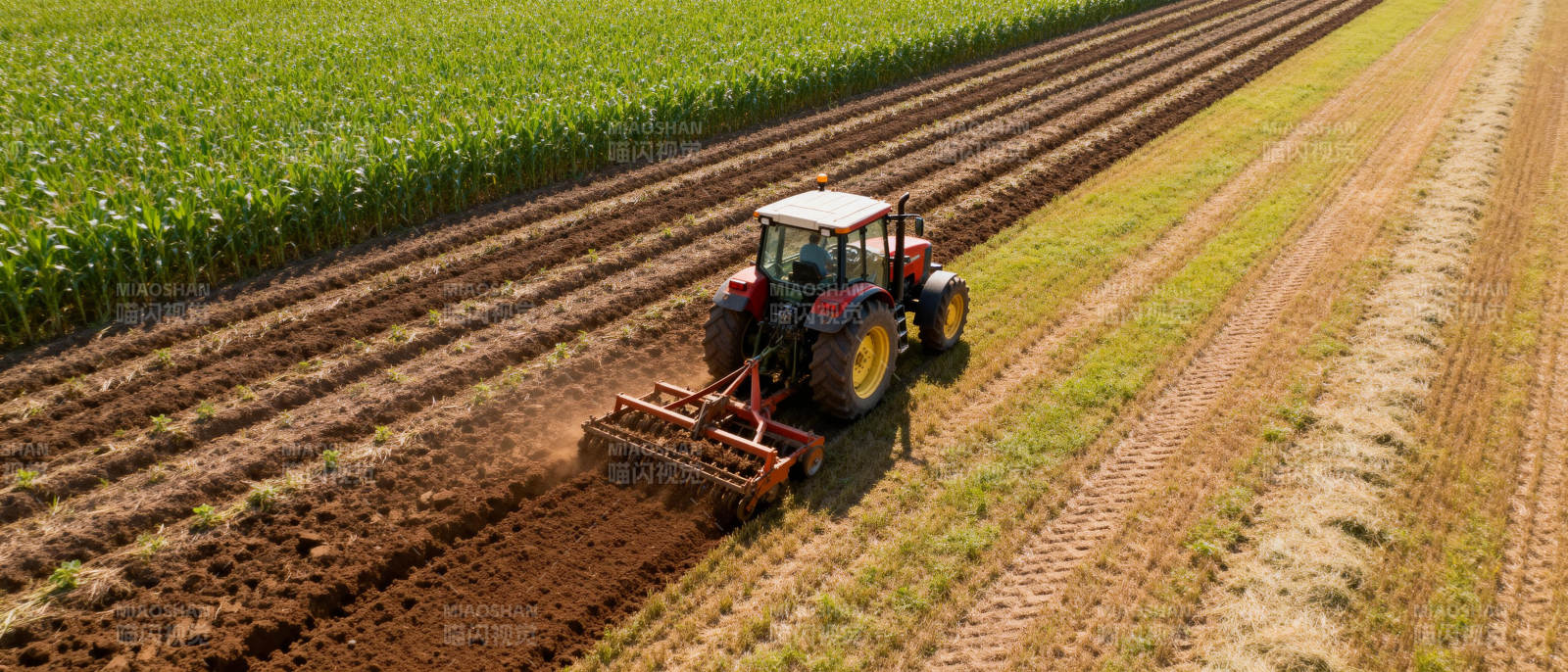 拖拉机耕作农田图片