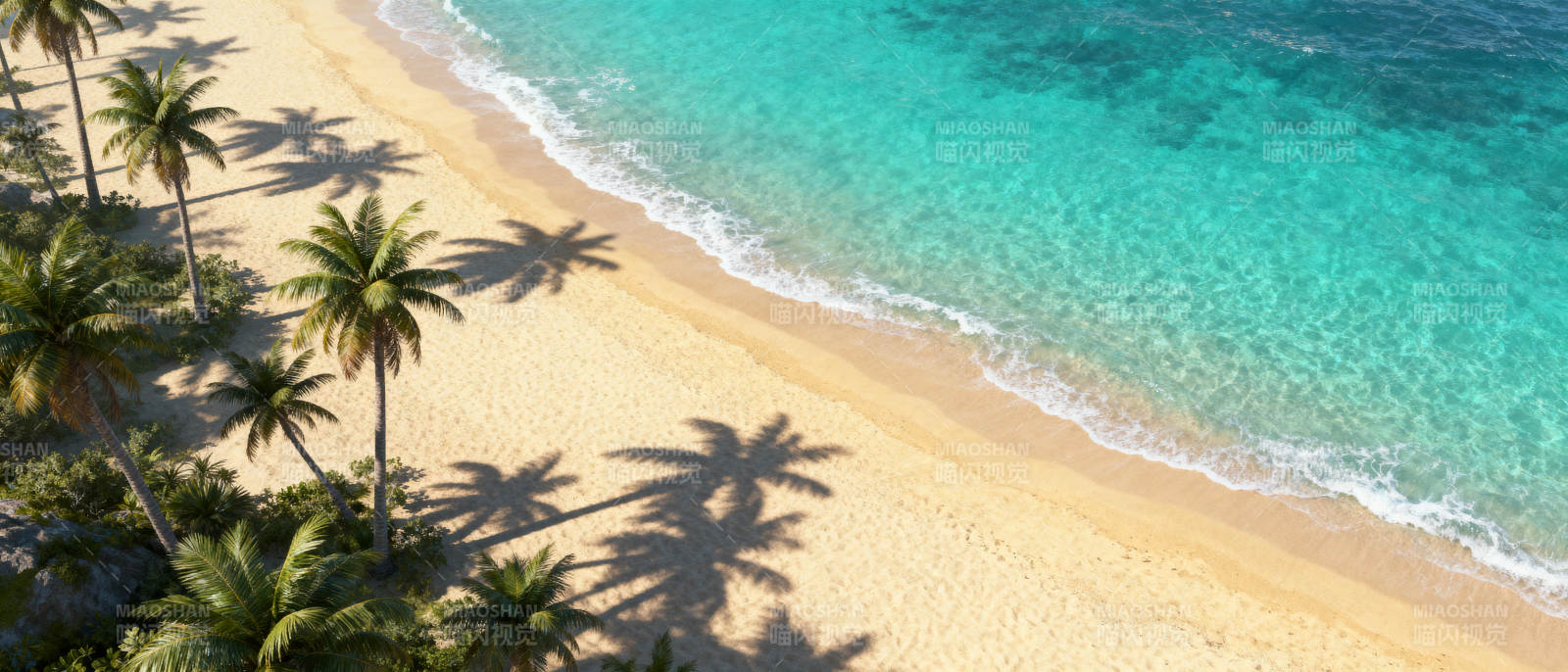 碧海金沙椰影摇图片