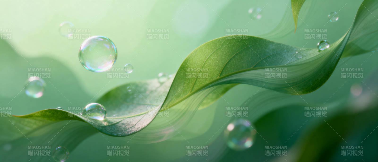 绿叶水珠 清新自然图片