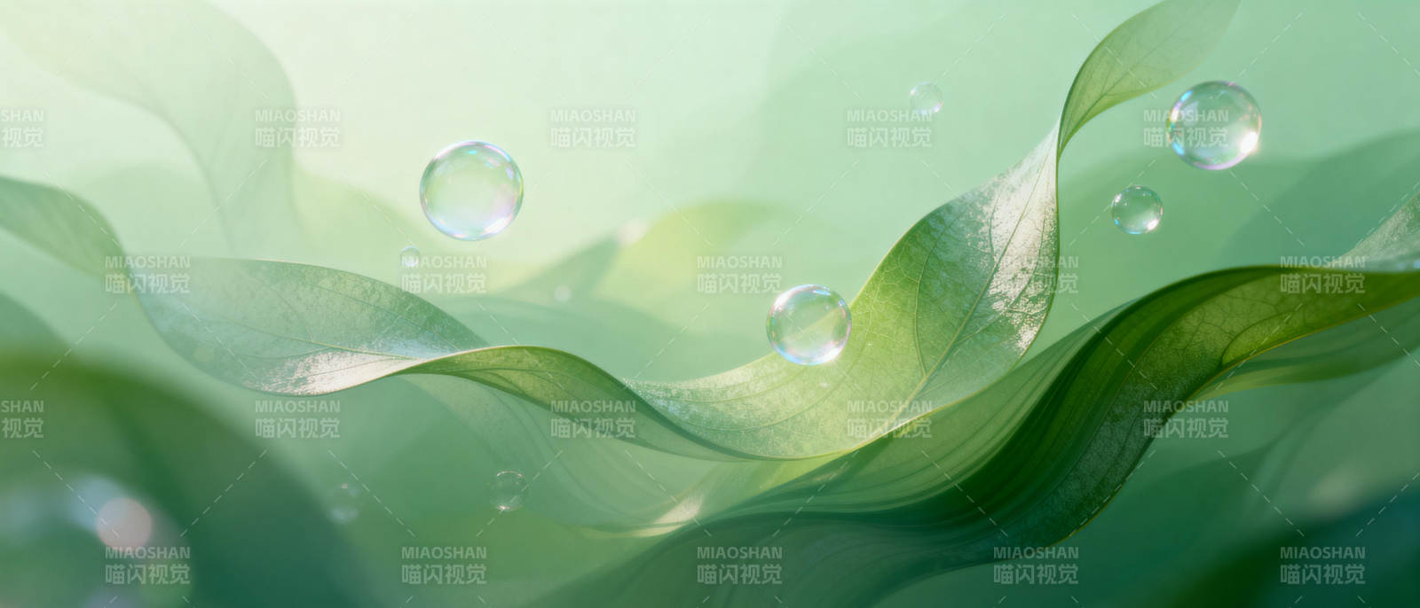 绿叶水珠 清新自然图片