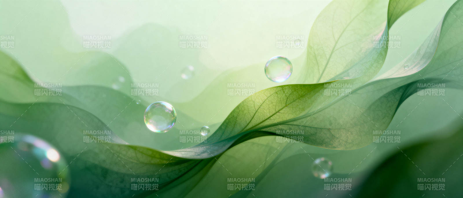 绿叶水珠图片