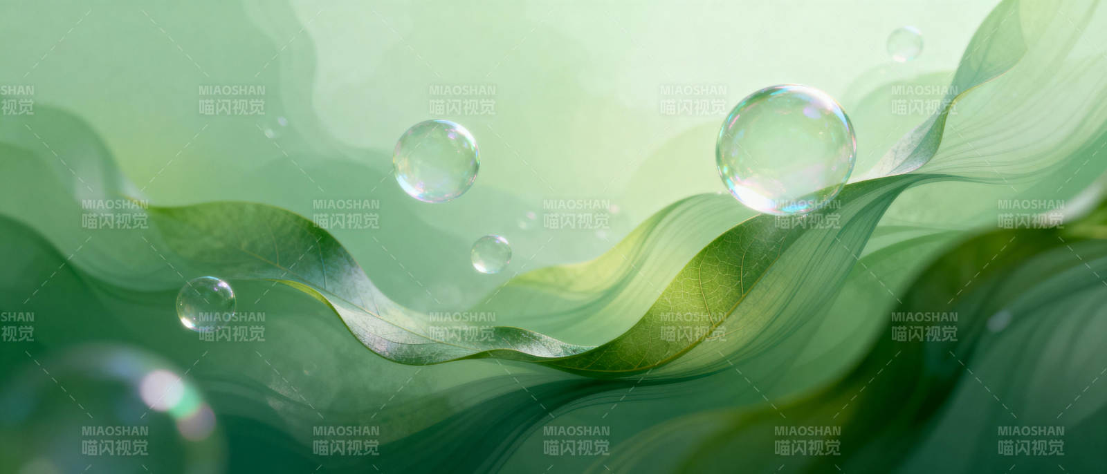 绿波荡漾气泡飞图片