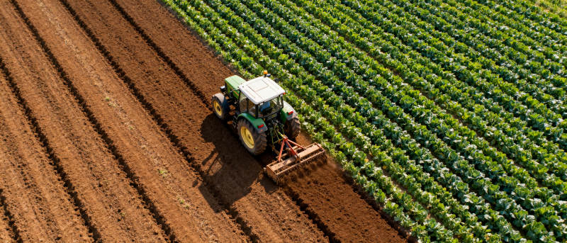 拖拉机耕作农田图片