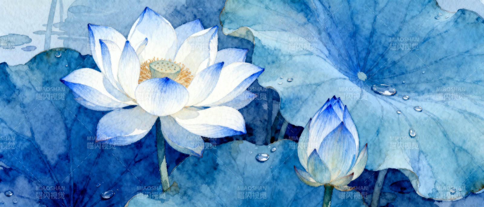 水色莲影图片