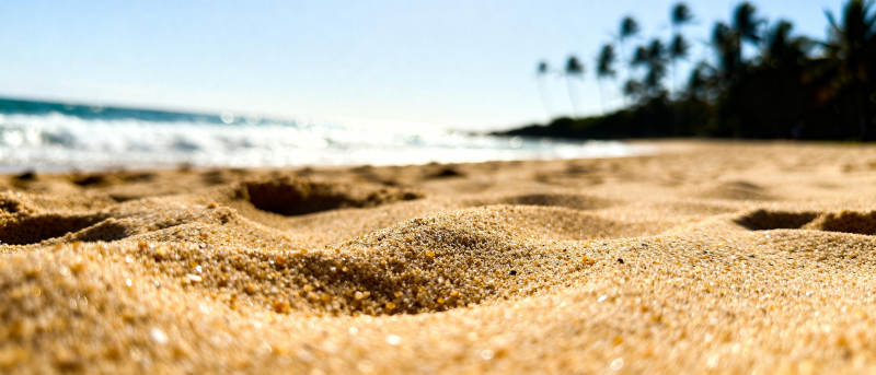 沙滩上的足迹图片