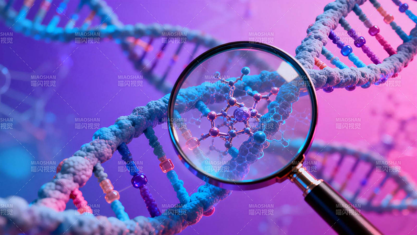 DNA探秘图片