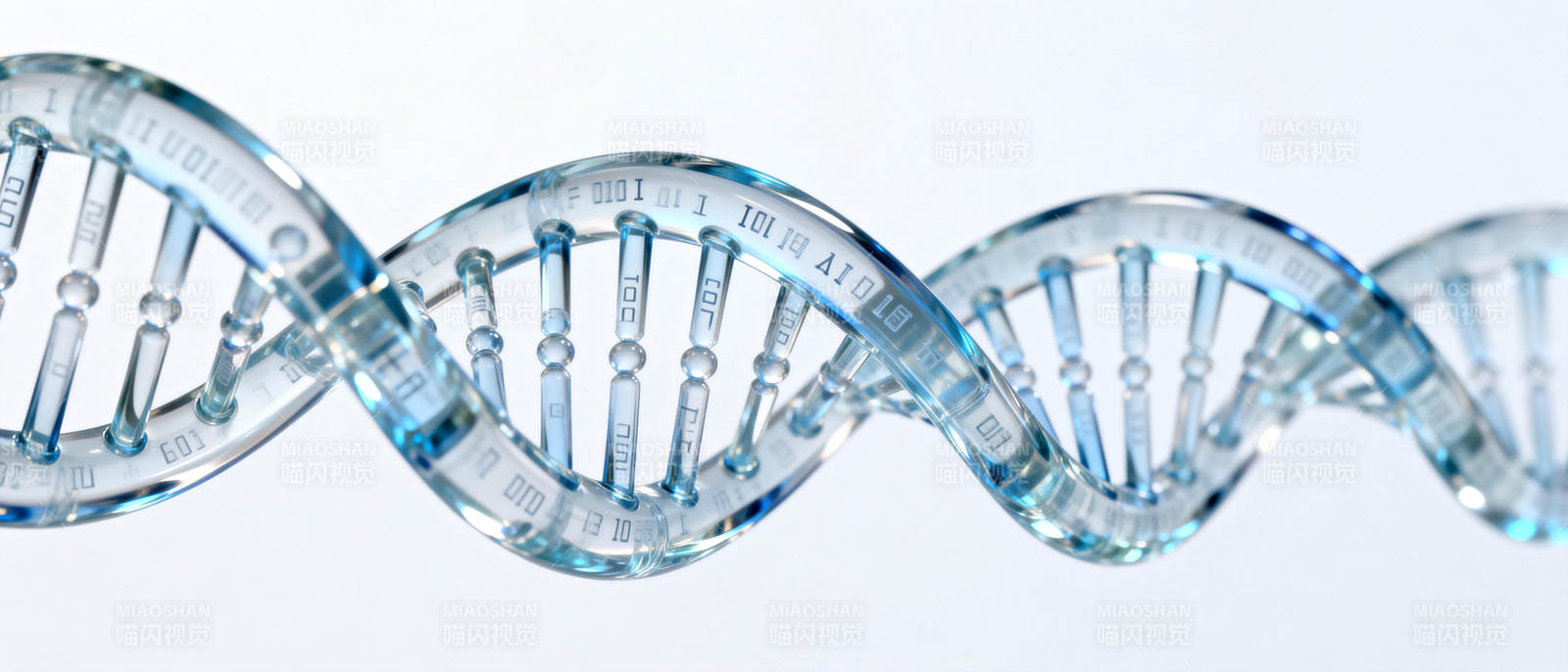 DNA双螺旋结构图片