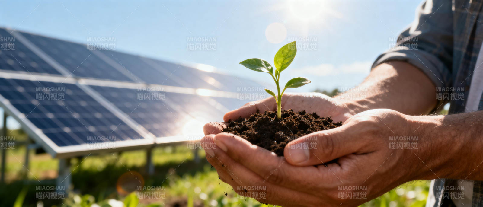 绿能孕育新希望图片