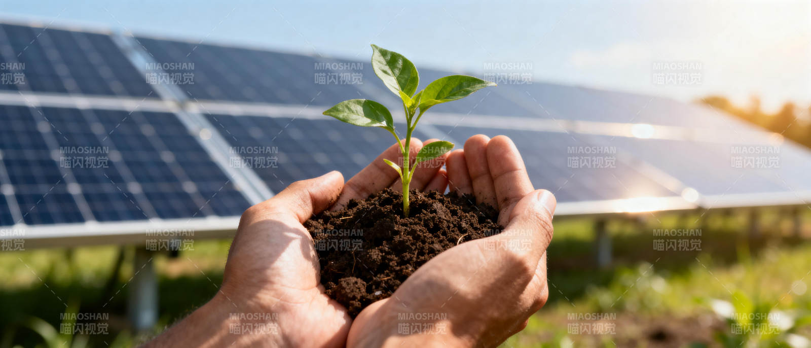 绿能孕育新希望图片