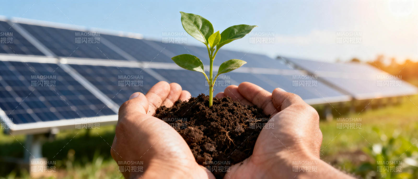 绿色能源新希望图片