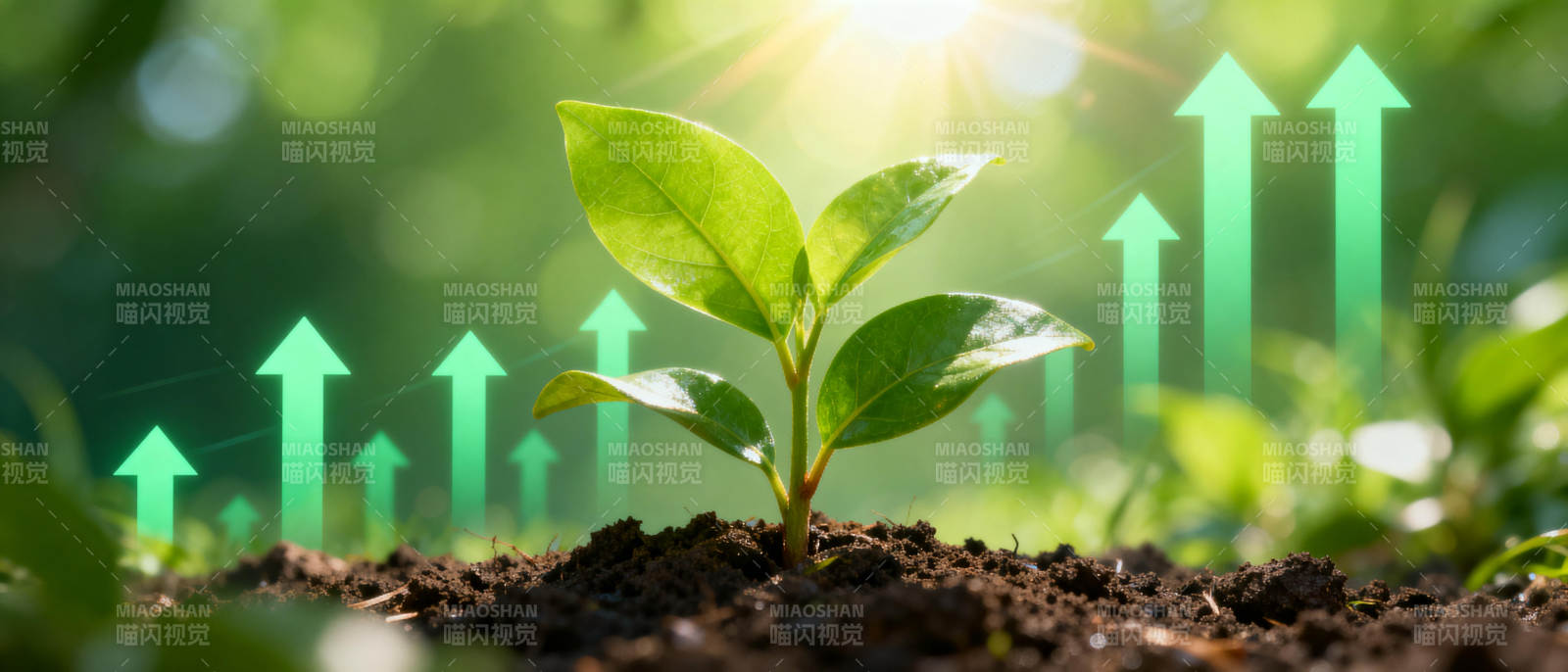 绿色成长 向上生长图片