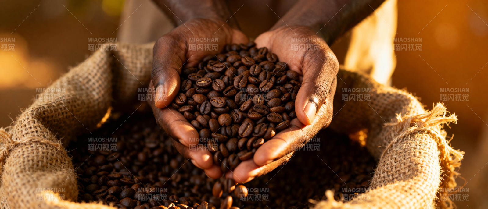 咖啡豆在手中图片