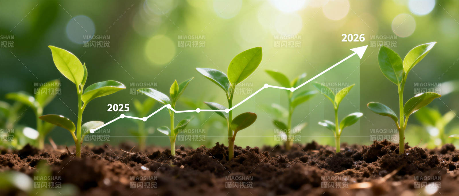 成长趋势图片