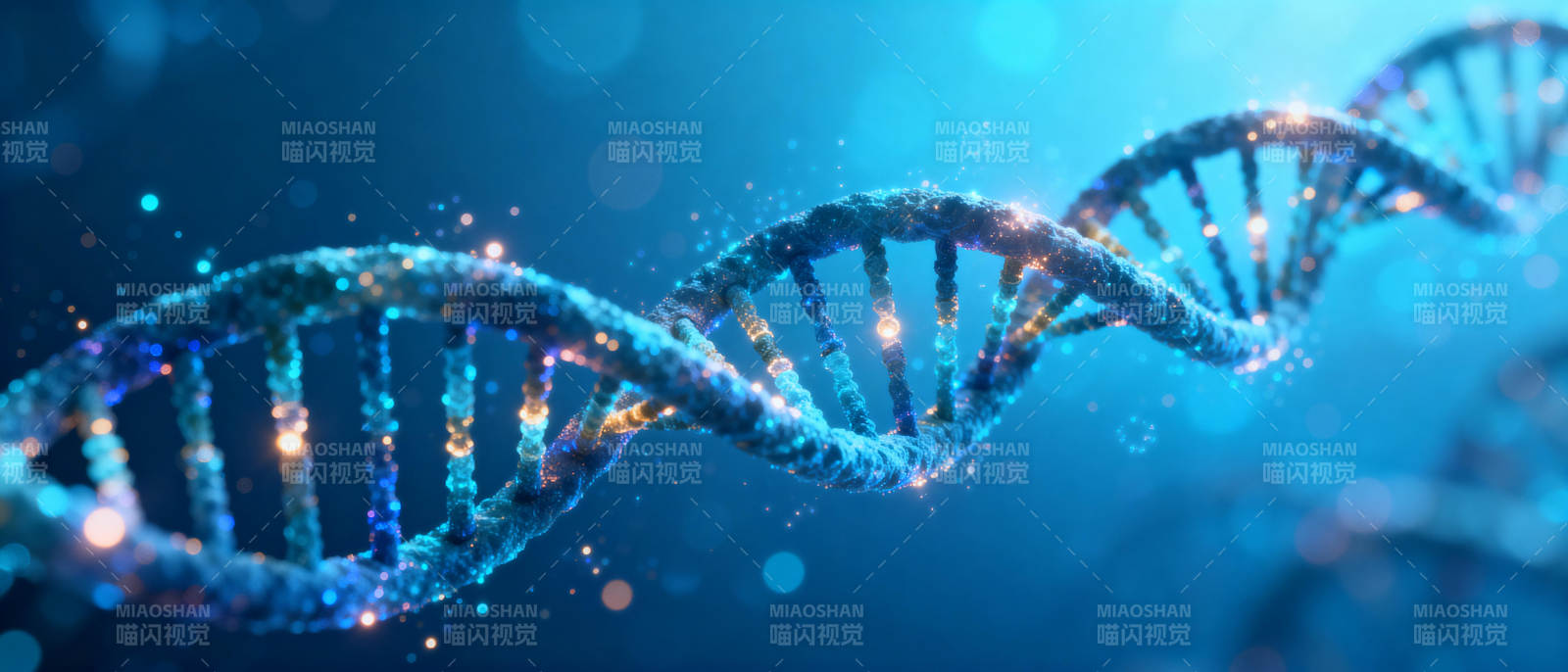 DNA双螺旋结构图片