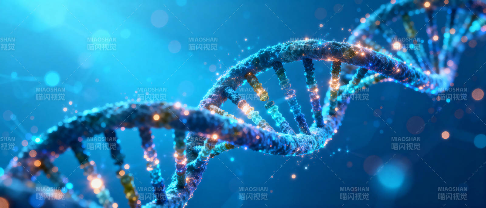 DNA双螺旋结构图片