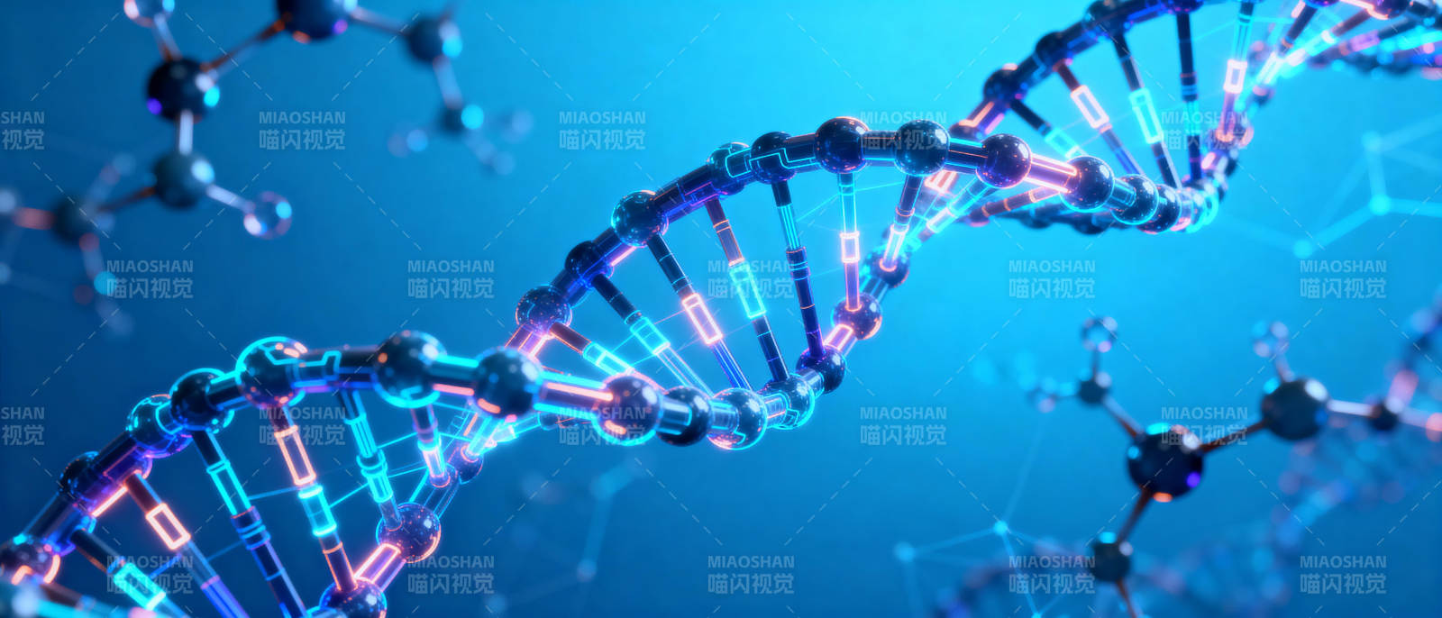 DNA双螺旋结构图片