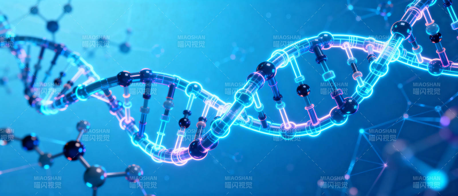 DNA双螺旋结构图片