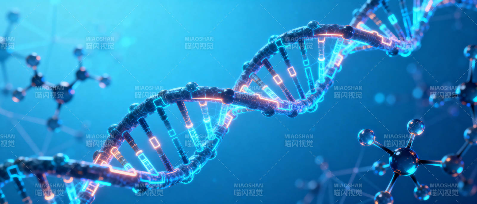 DNA双螺旋结构图片