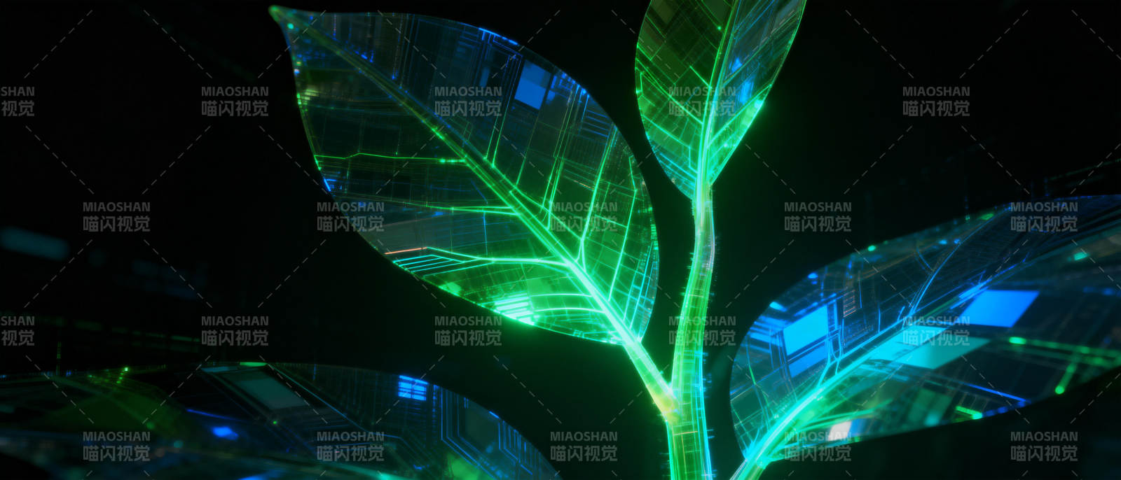 发光的科技绿叶图片