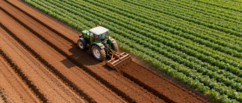 拖拉机耕作农田图片