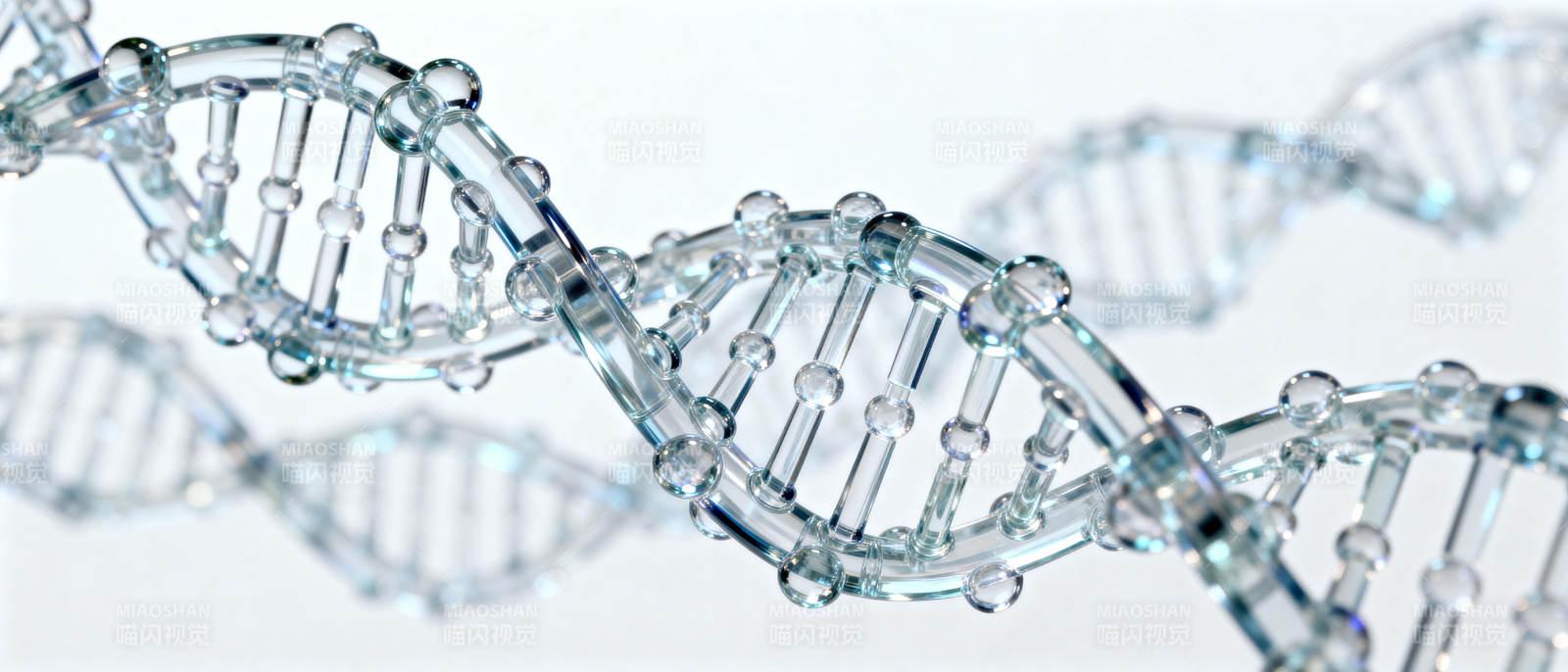 DNA双螺旋结构图片