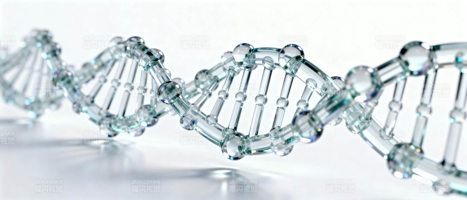 DNA双螺旋结构图片