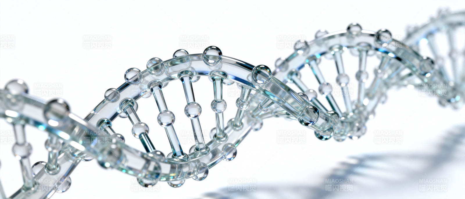 DNA双螺旋结构图片