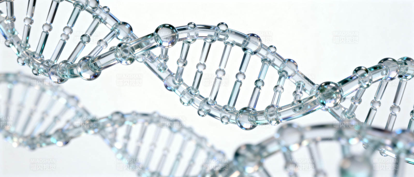 DNA双螺旋结构图片