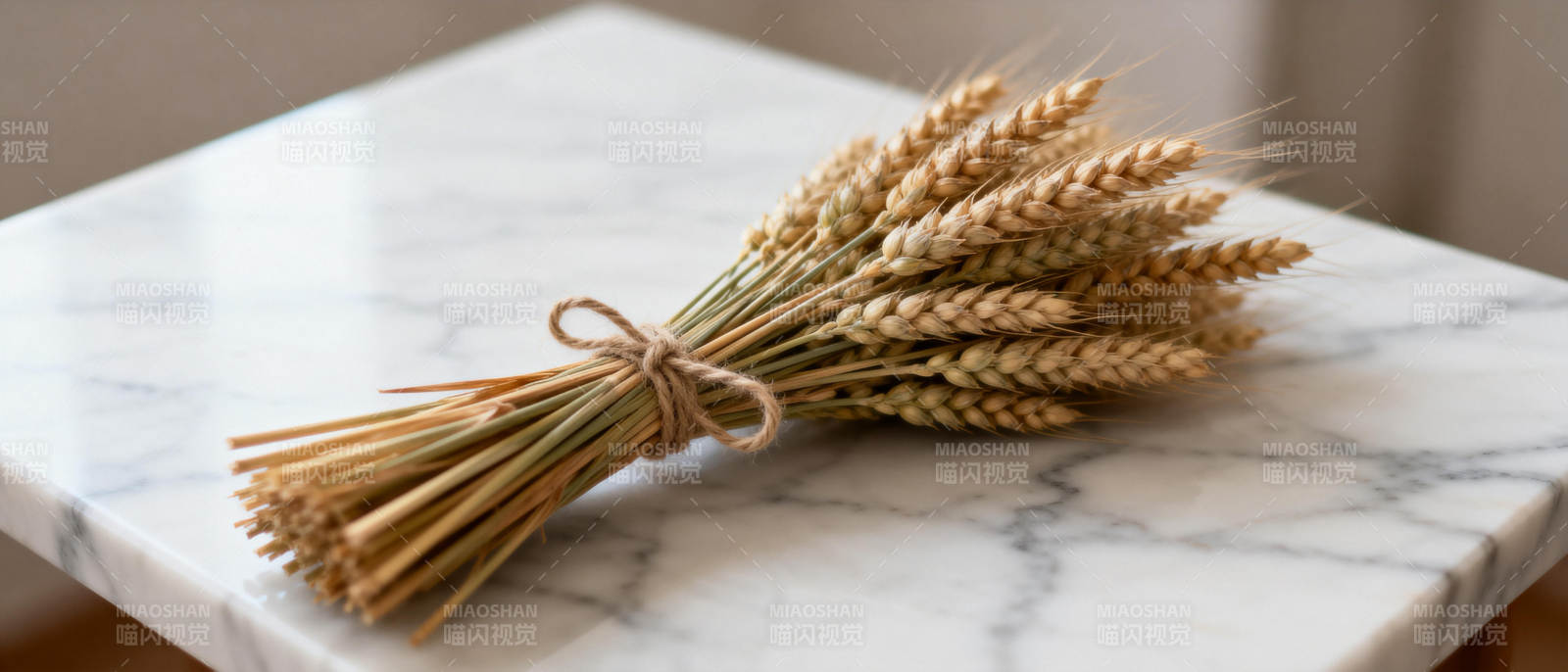 麦穗静物图片
