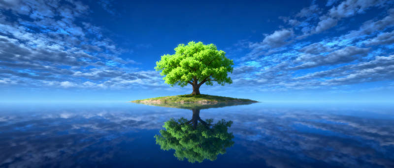 孤树映水天图片