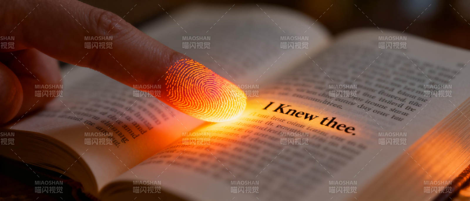 指尖触光 书页生辉图片