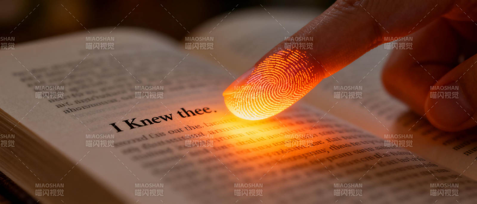 指尖轻触书页 光影流转图片